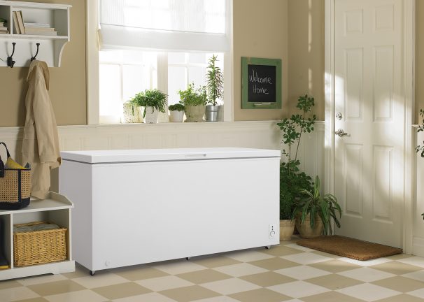 21905 - freezer - DCFM177C1WDB - mudroom 21905 - freezer - DCFM177C1WDB - mudroom