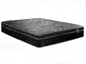 24346 - Chiropractic Pocket Coil Mattress - SW-brody