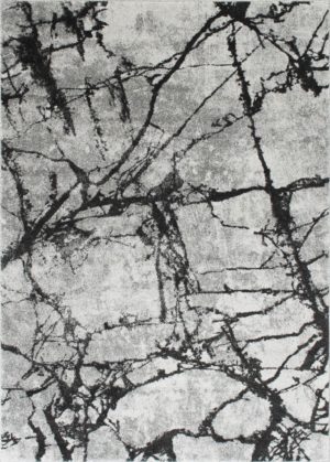 24426 - rug - alexxis-881-charcoal